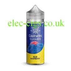 Simply a bottle, on a white background of Darwin 100 ML E-liquid Blue Raspberry