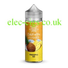 Simply a bottle, on a white background of Darwin 100 ML E-Liquid Pineapple Ice