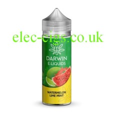 Simply a bottle, on a white background of Darwin 100 ML E-liquid Banana Ice